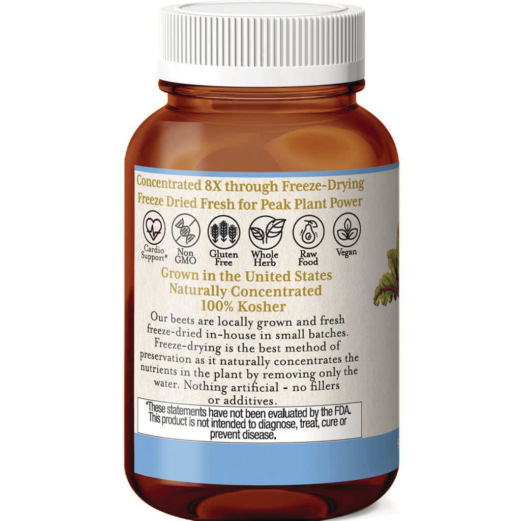 EC020 | back label of amber supplement bottle with freeze-dried claim, icons for non-GMO, gluten free, vegan, and 100% Kosher - Thumbnail