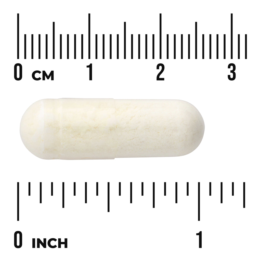 SWU319 | White capsule centered on centimeter and inch rulers to show size - Thumbnail
