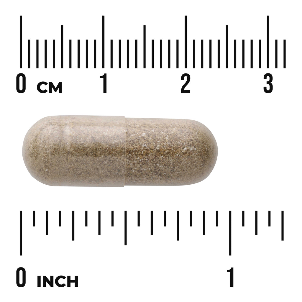 SWU297 | Capsule with size scale in centimeters and inches - Thumbnail