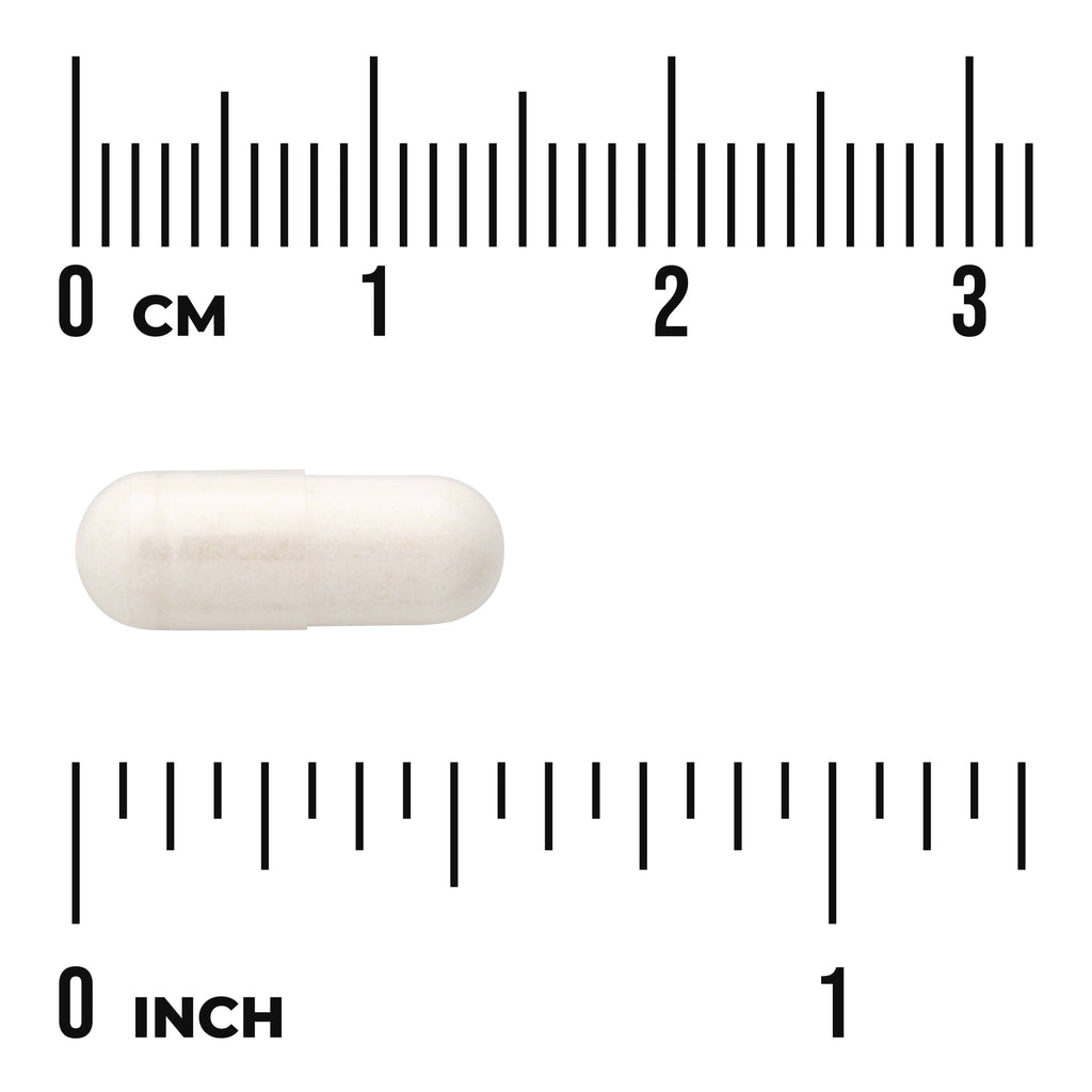 SW1527 | White capsule shown with cm and inch rulers for size reference - Thumbnail