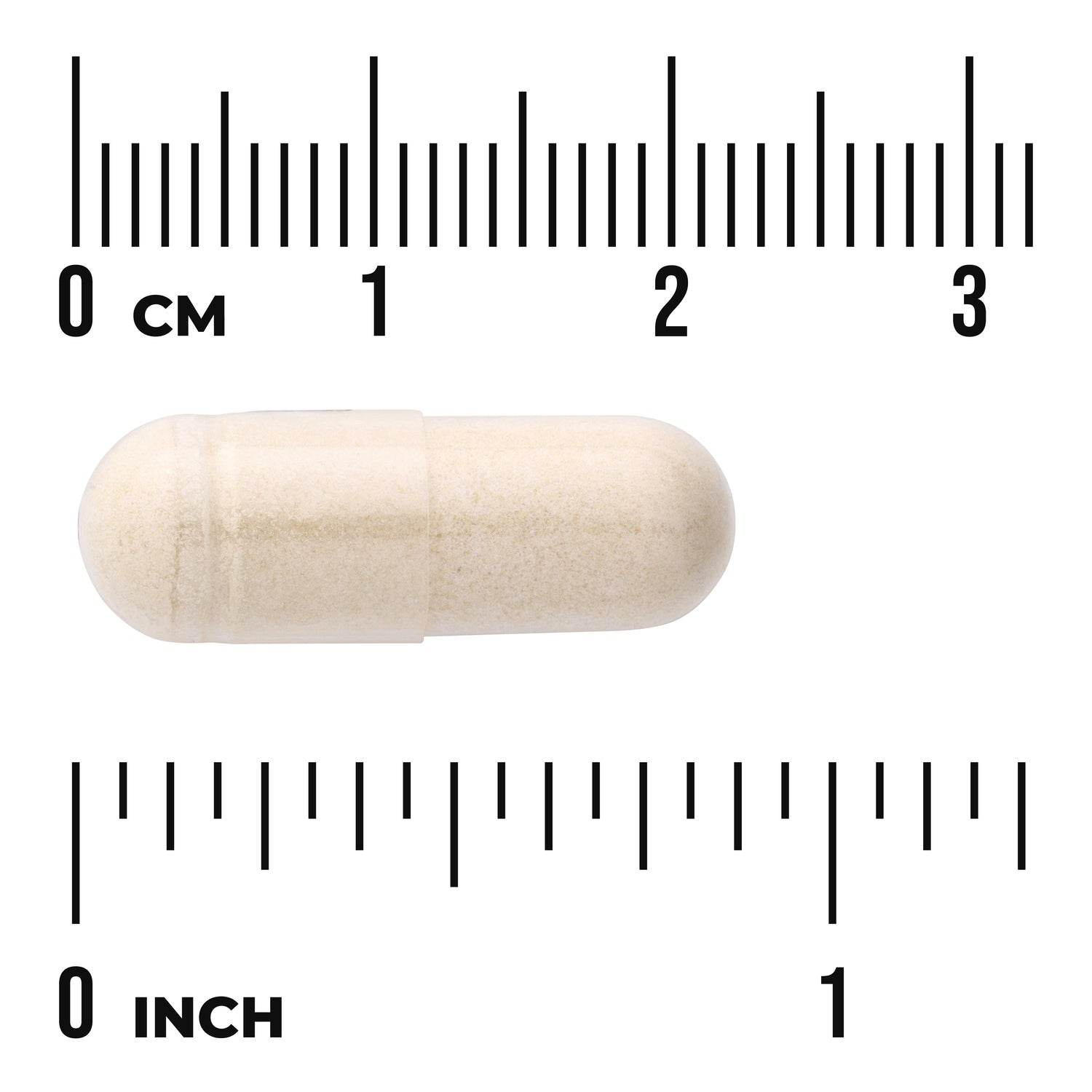 SWH080 | Beige capsule shown with centimeter and inch rulers for size