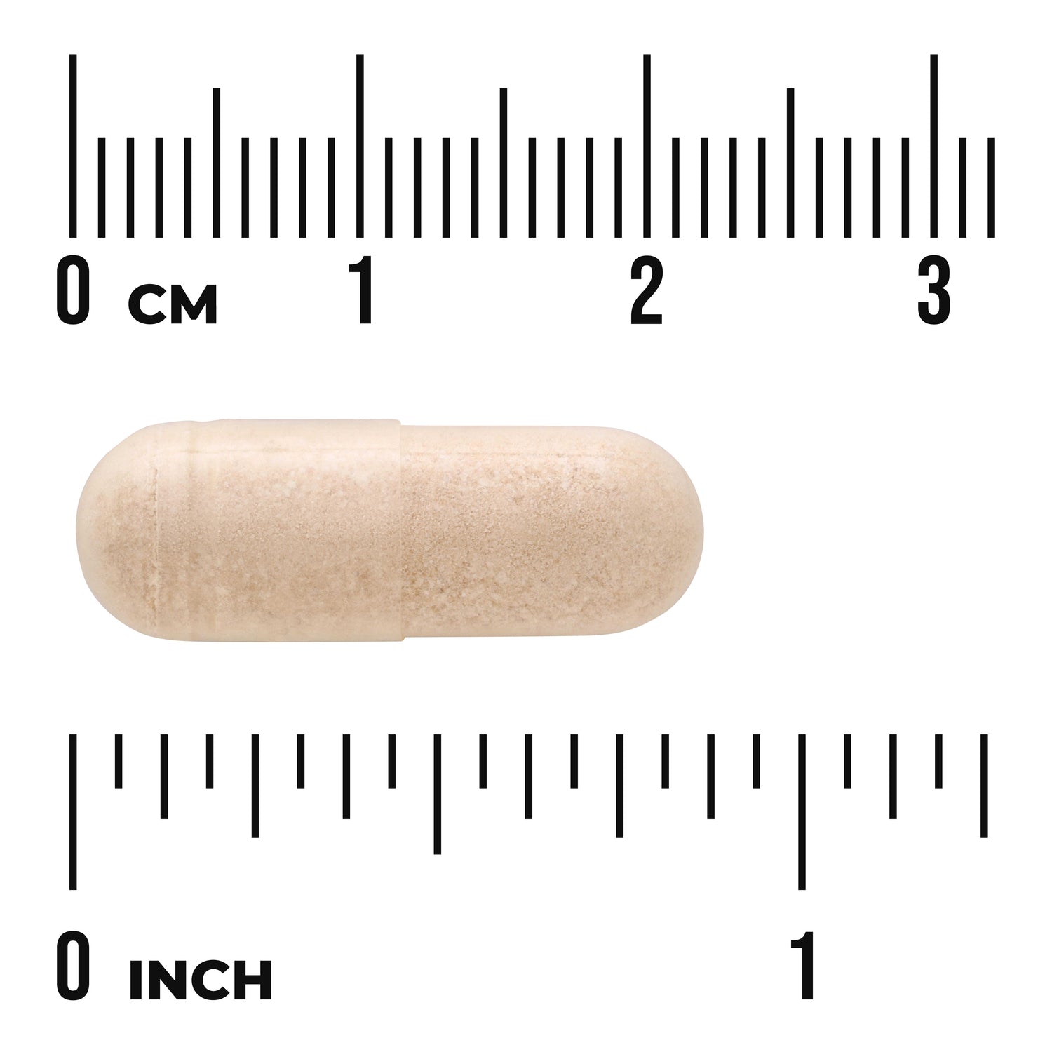 SW1380 | Beige capsule next to CM and INCH rulers for size reference