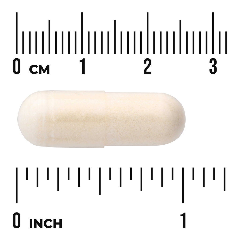 SW1806 | Beige capsule beside rulers labeled 0 cm and 0 inch for size reference - Thumbnail