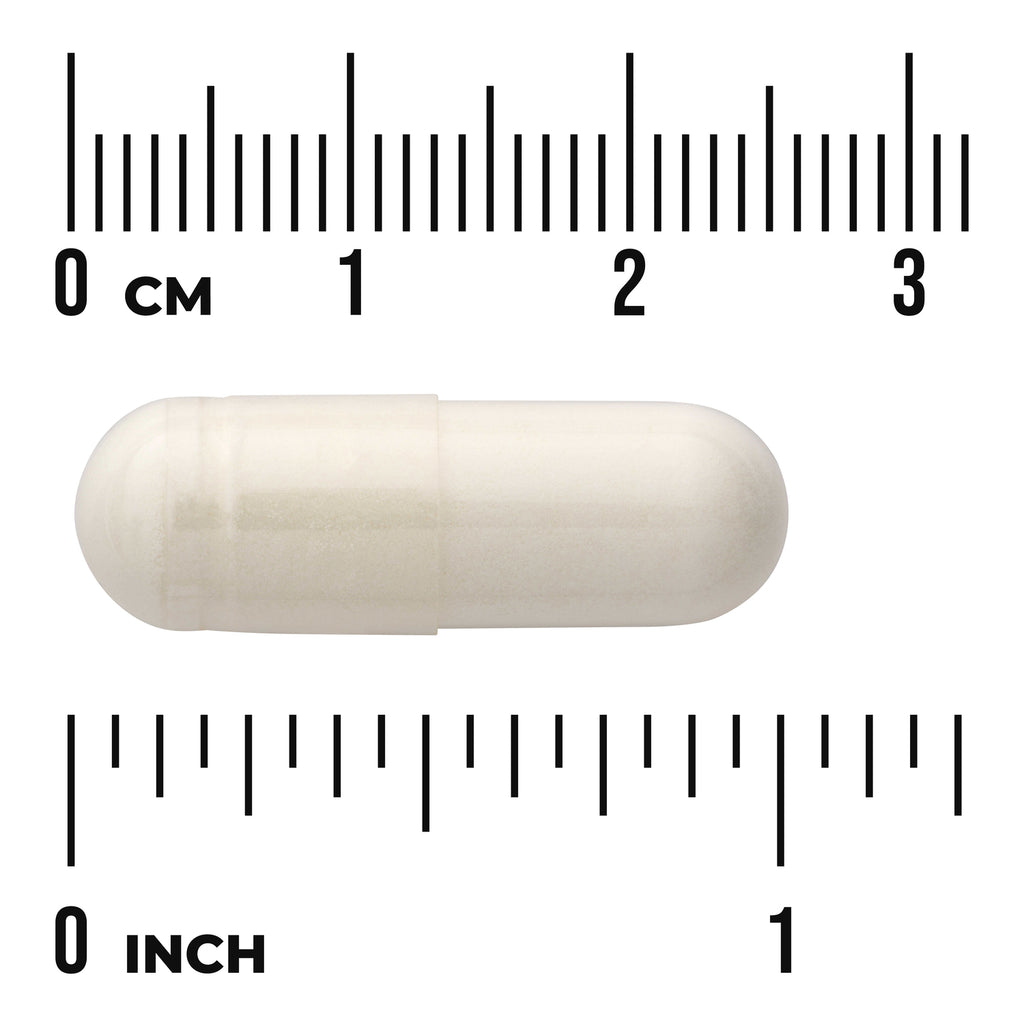 SWU202 | White capsule beside centimeter and inch rulers showing scale with "0 cm" and "0 inch" markings - Thumbnail