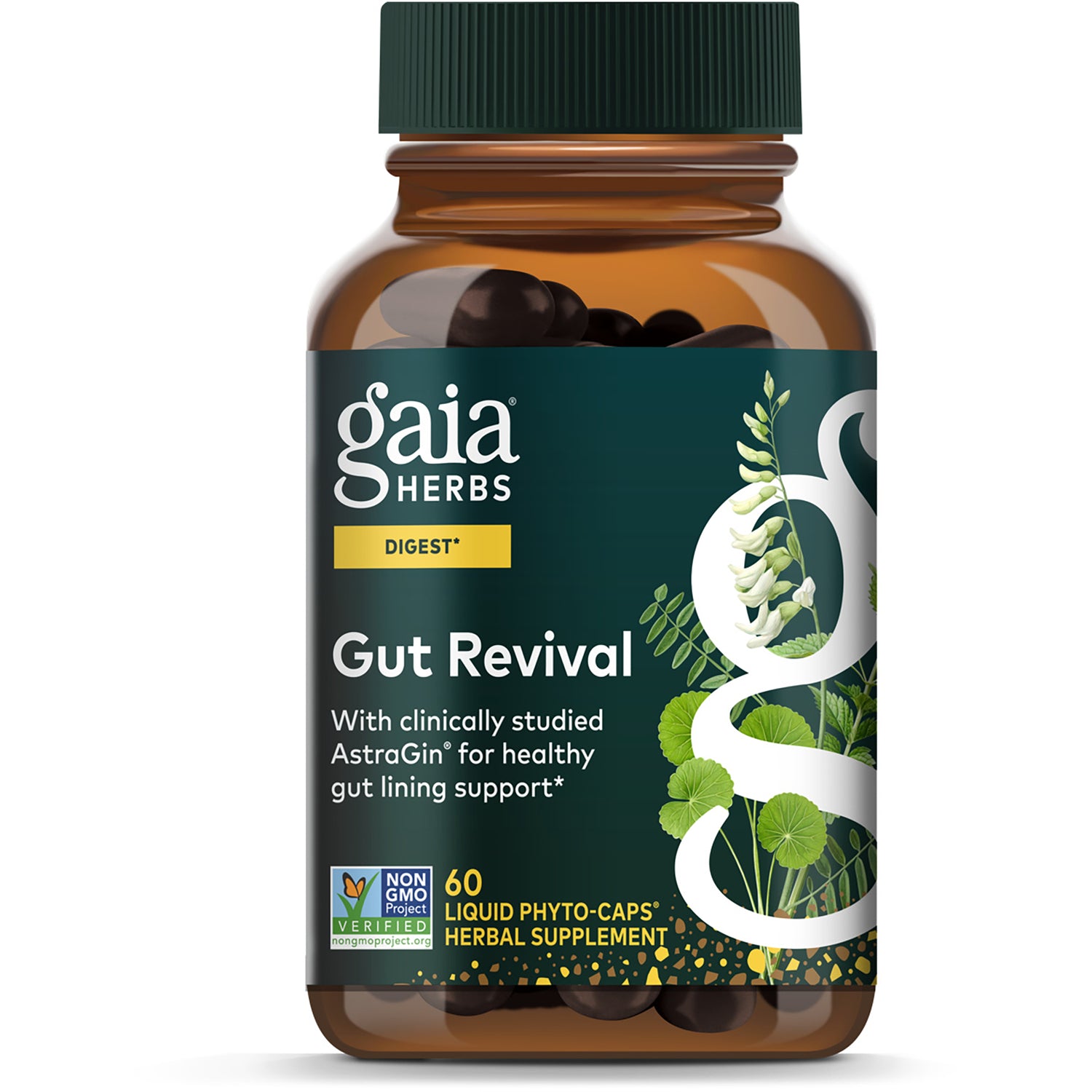 GH162 | Gaia Herbs Gut Revival box front reading Digestive Support and 60 vegan liquid phyto-caps herbal supplement