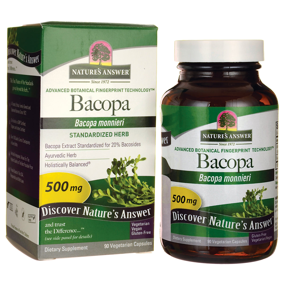NAT198 | Bacopa monnieri 500 mg bottle and box dietary supplement, Nature's Answer packaging