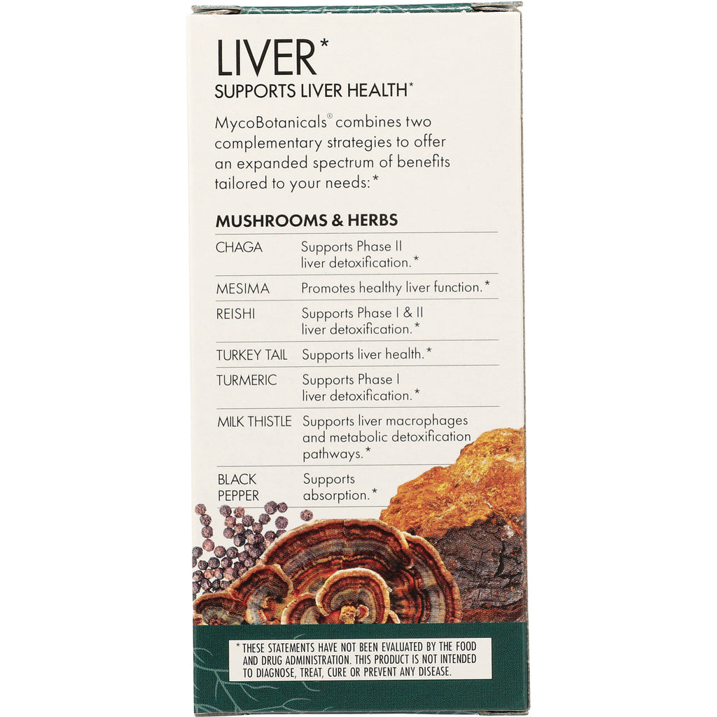 FUN015 | product infographic listing liver-support mushrooms and herbs with mushroom and turmeric illustrations - Thumbnail