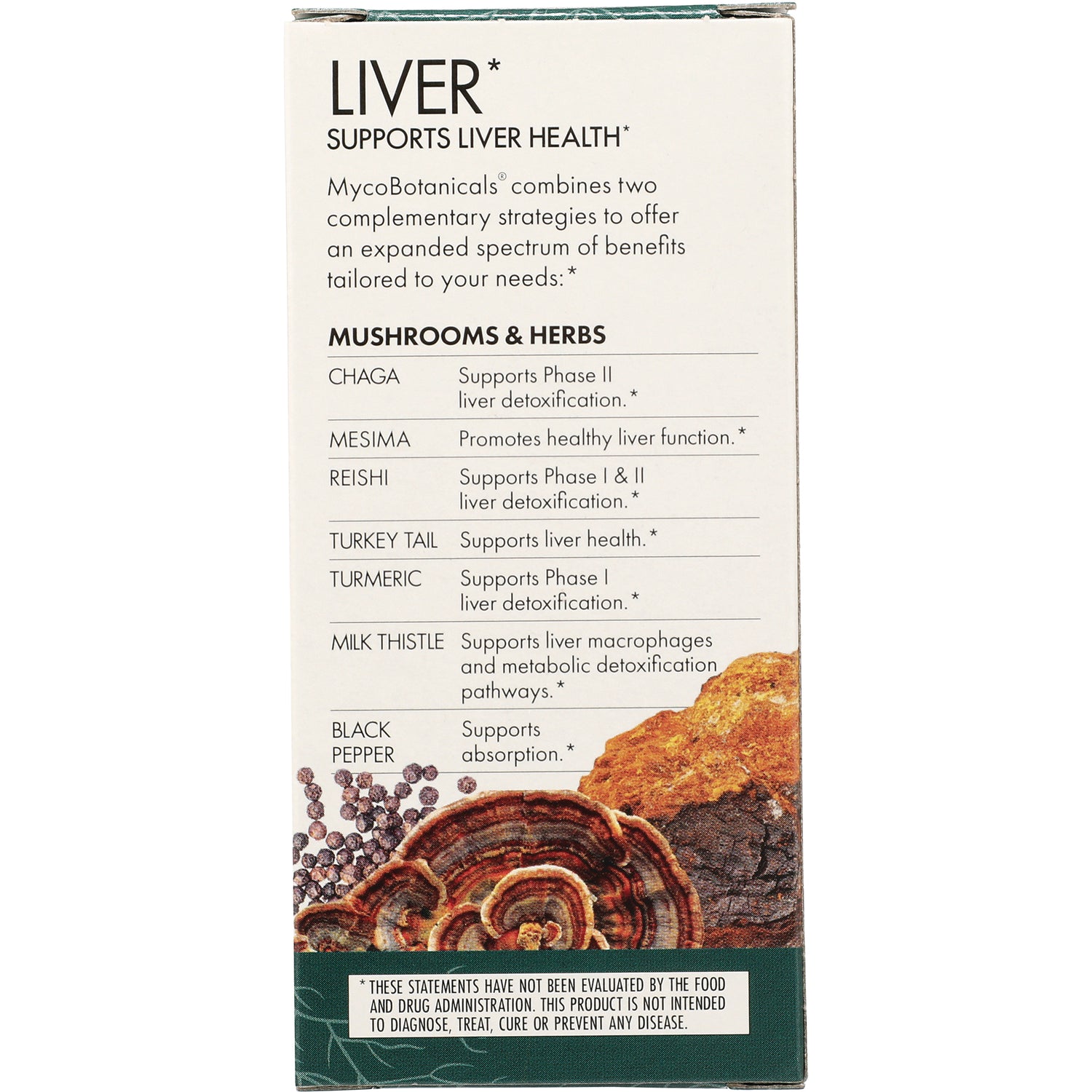 FUN015 | product infographic listing liver-support mushrooms and herbs with mushroom and turmeric illustrations