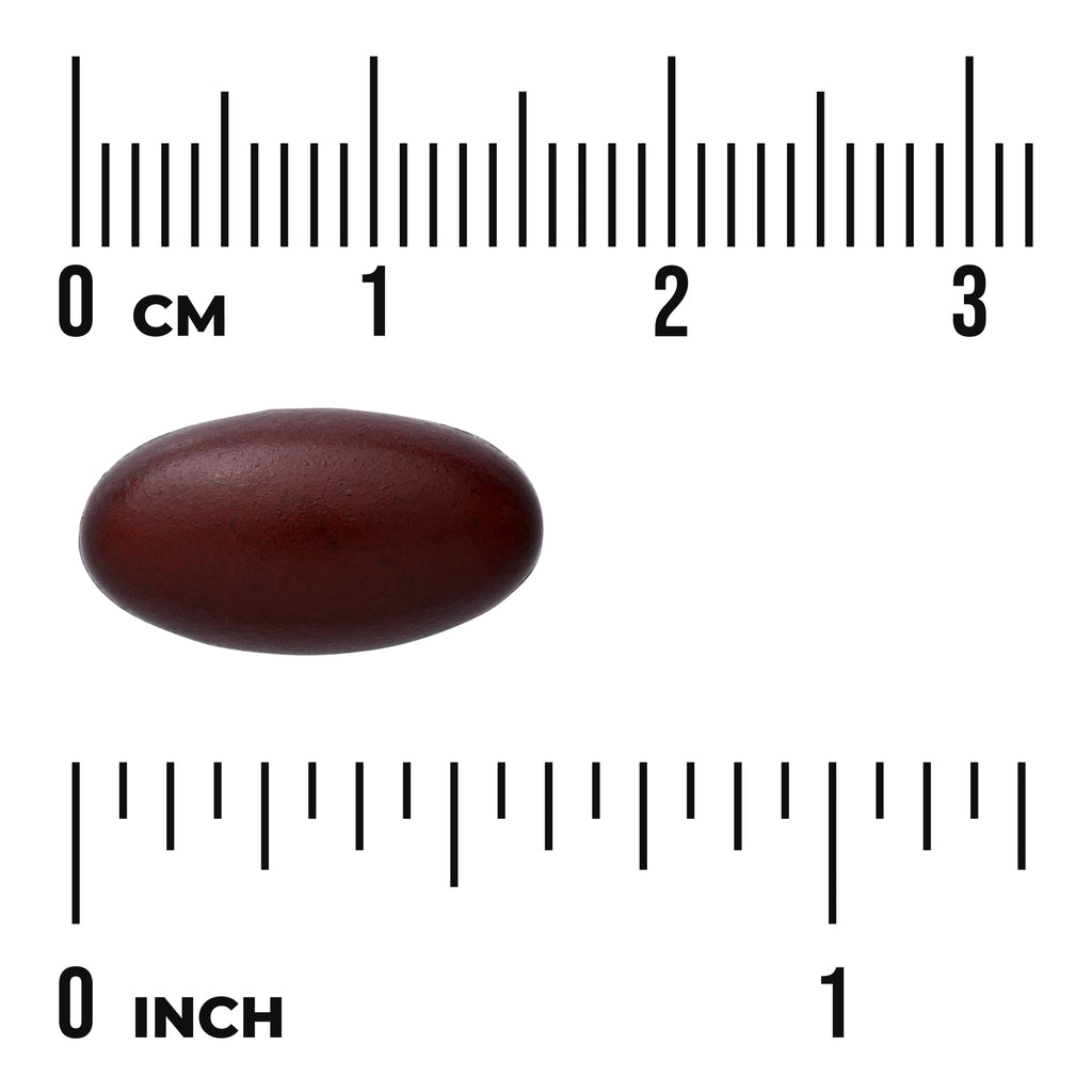 SW786 | Dark brown oval softgel shown with rulers in centimeters and inches for size reference - Thumbnail