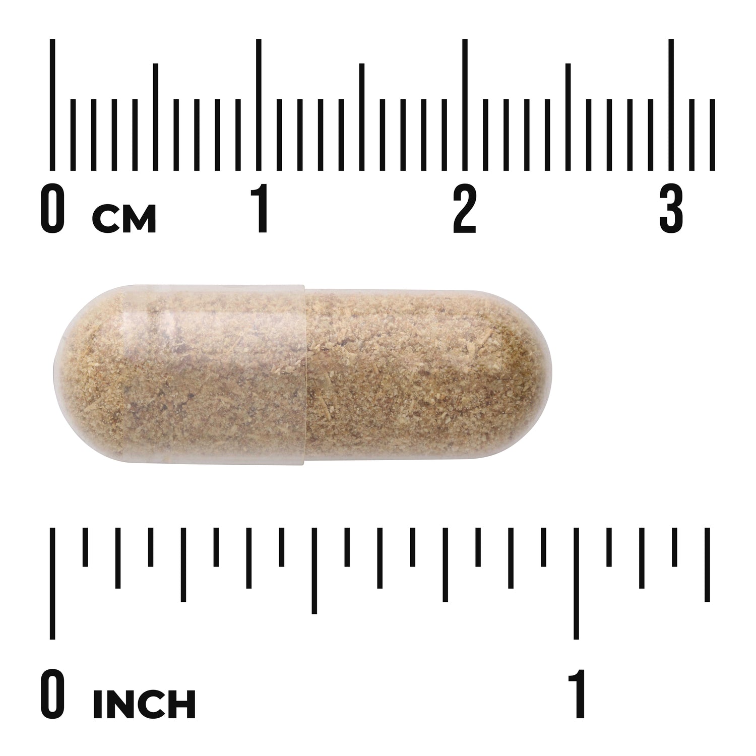 SW976 | Beige capsule shown with size against cm and inch rulers