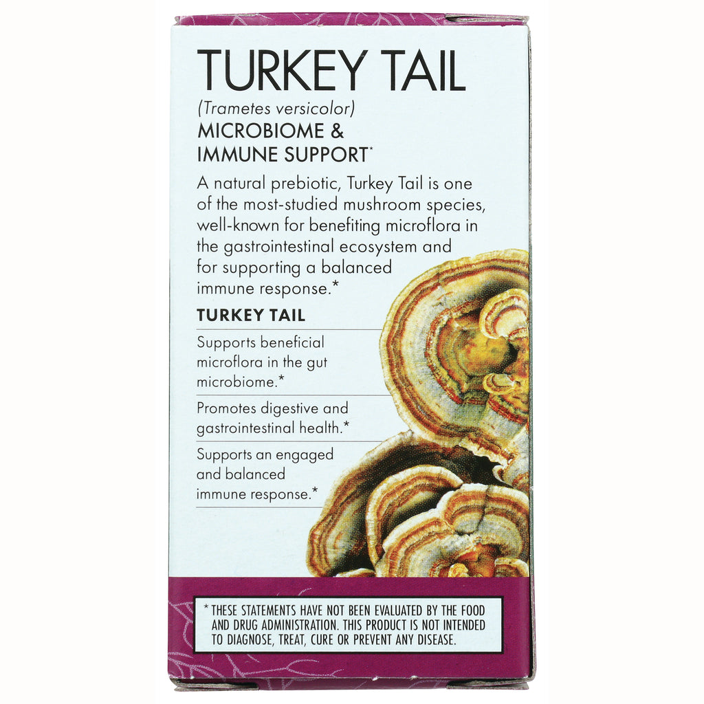 FUN042 | Turkey Tail product infographic showing microbiome and immune support benefits with mushroom illustration - Thumbnail