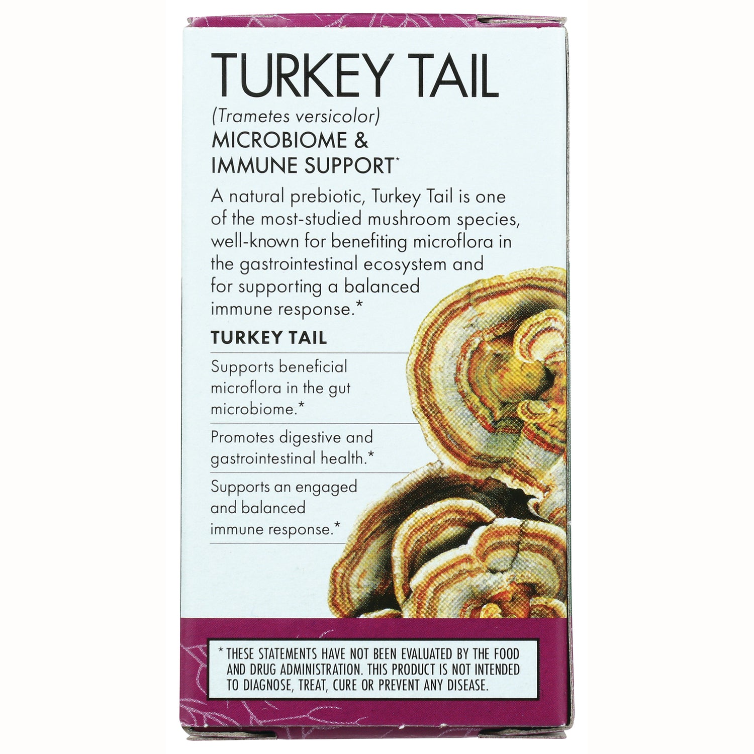 FUN042 | Turkey Tail product infographic showing microbiome and immune support benefits with mushroom illustration