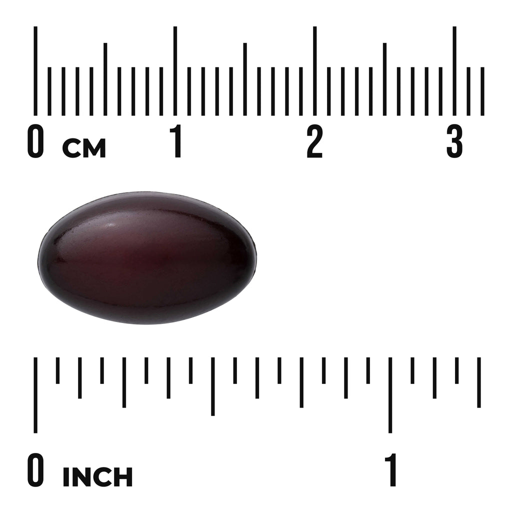 SWU1085 | Dark oval softgel shown with cm and inch ruler for size - Thumbnail