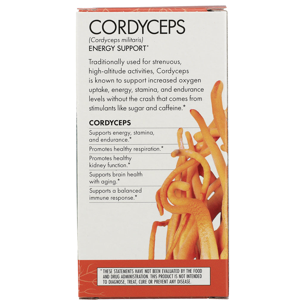 FUN004 | Cordyceps product infographic panel listing energy support and benefits with orange cordyceps illustration - Thumbnail