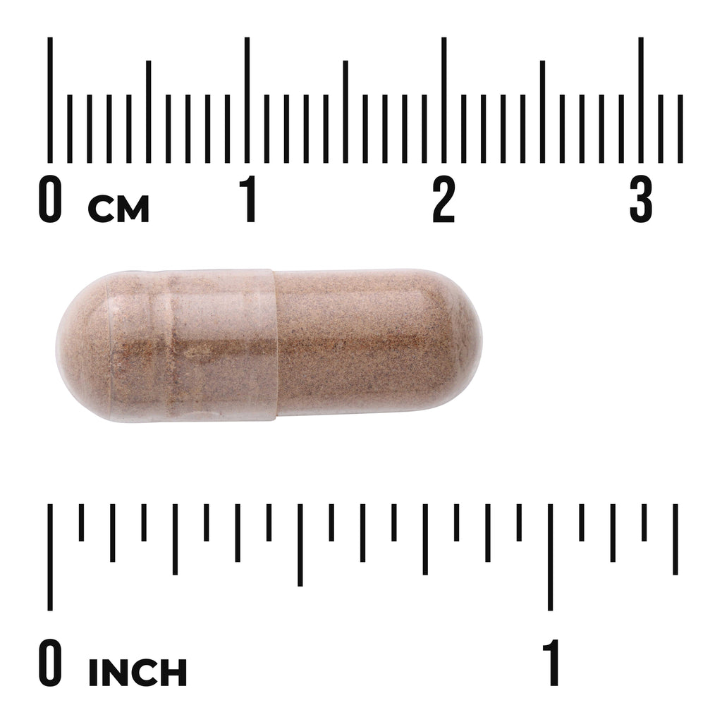 SW1004 | Brown powder-filled transparent capsule centered between centimeter and inch rulers labeled 0 CM and 0 INCH to show - Thumbnail