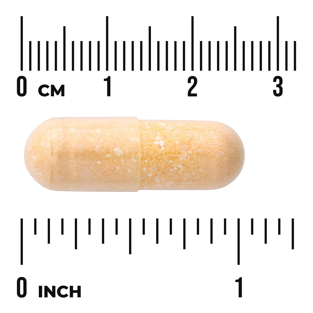 SWC085 | Beige capsule with size reference next to rulers marked CM and INCH - Thumbnail