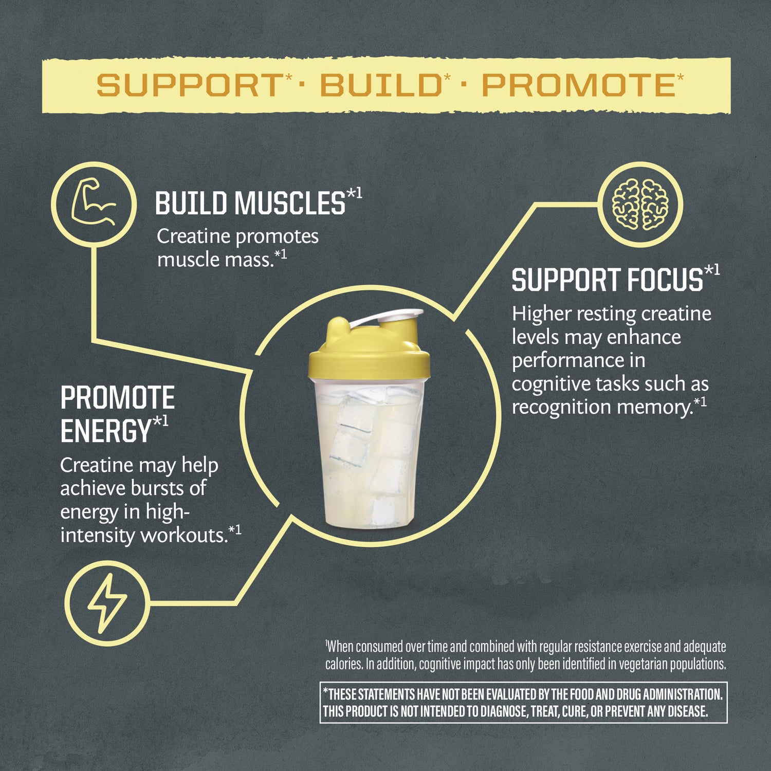 SNW065 | Creatine benefits infographic: Build Muscles, Support Focus, Promote Energy, shaker bottle graphic
