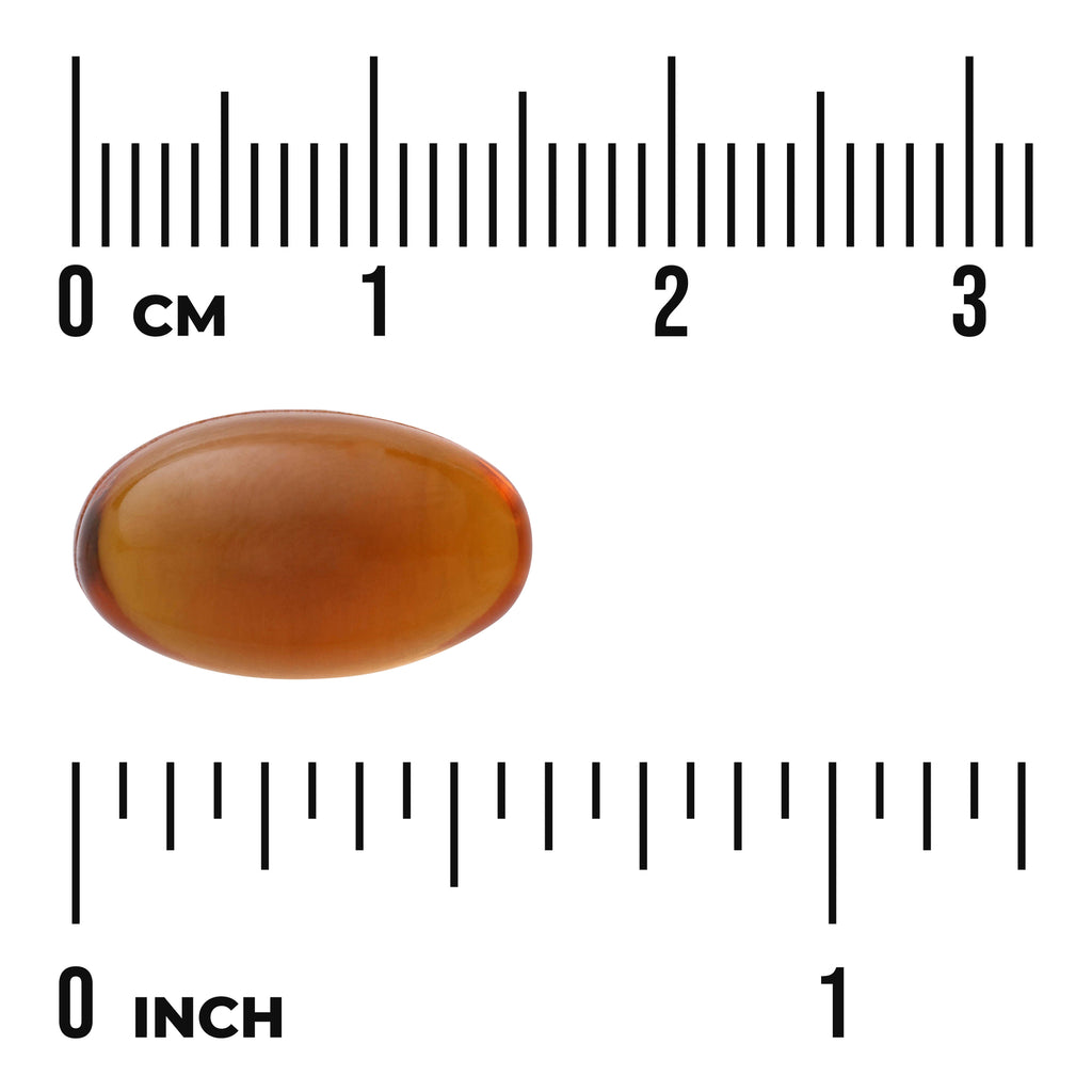 SWH221 | Brown softgel with size guide, 0–3 cm and 0–1 inch rulers - Thumbnail