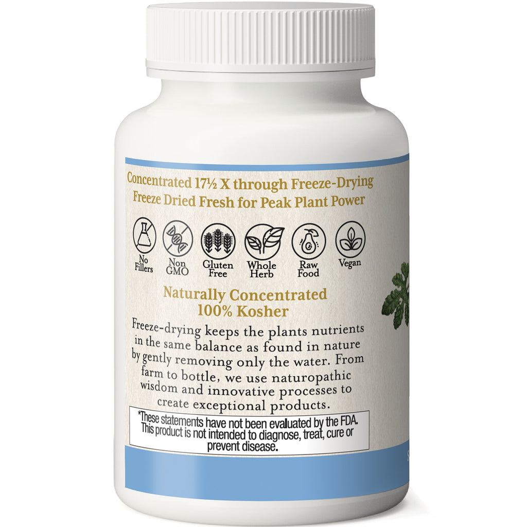 EC009 | Back label of white supplement bottle with freeze-dried claims, icons for Non GMO, Gluten Free, Vegan, 100% Kosher and FDA disclaimer - Thumbnail