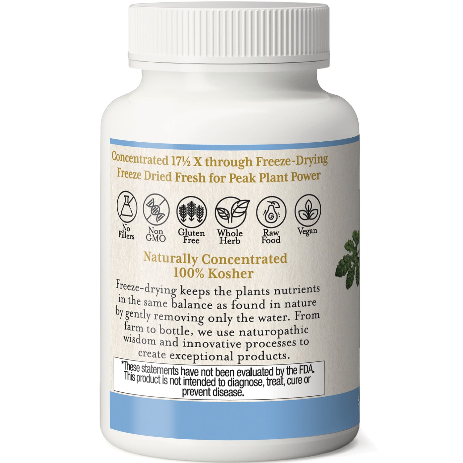 EC009 | Back label of white supplement bottle with freeze-dried claims, icons for Non GMO, Gluten Free, Vegan, 100% Kosher and FDA disclaimer