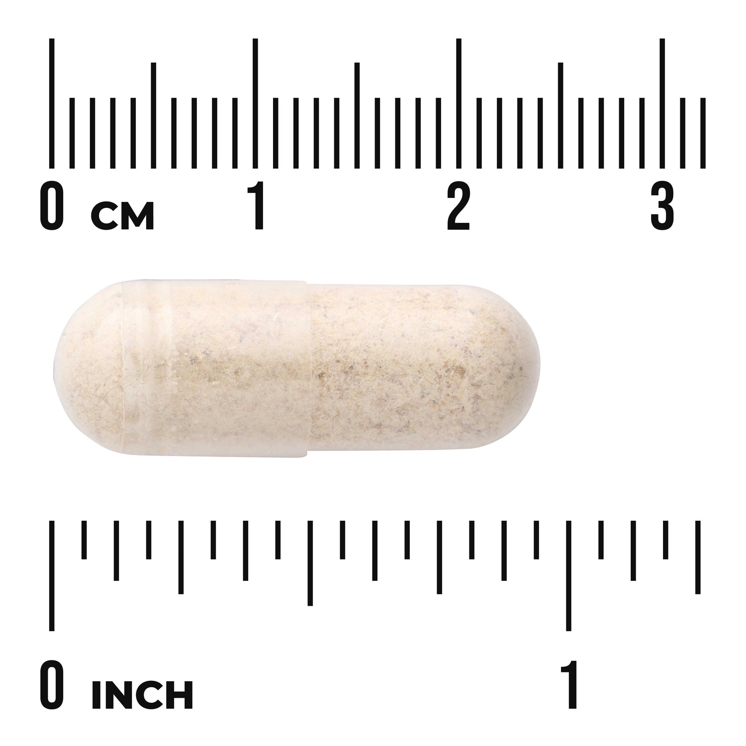 SW1288 | Clear white-beige capsule filled with powder shown against centimeter and inch rulers