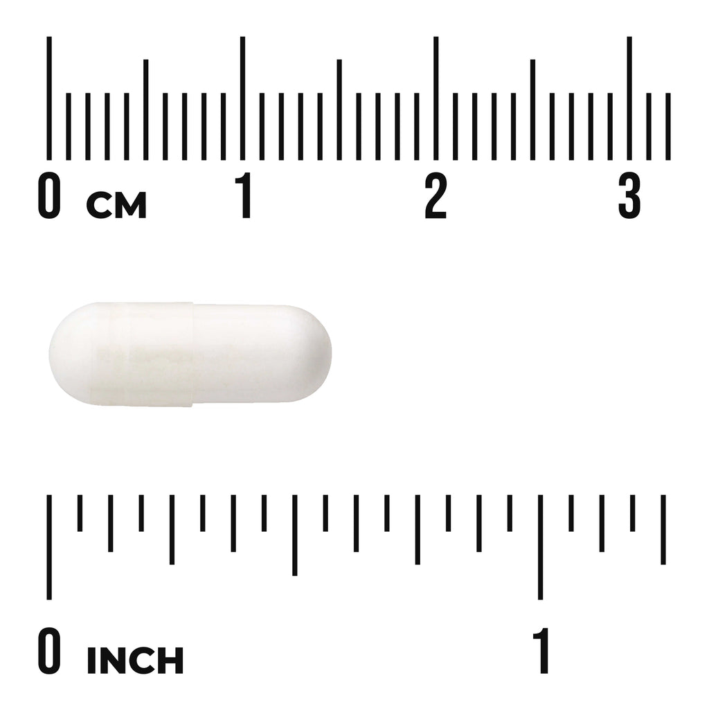 SW599 | White capsule with size reference rulers labeled cm and inch - Thumbnail