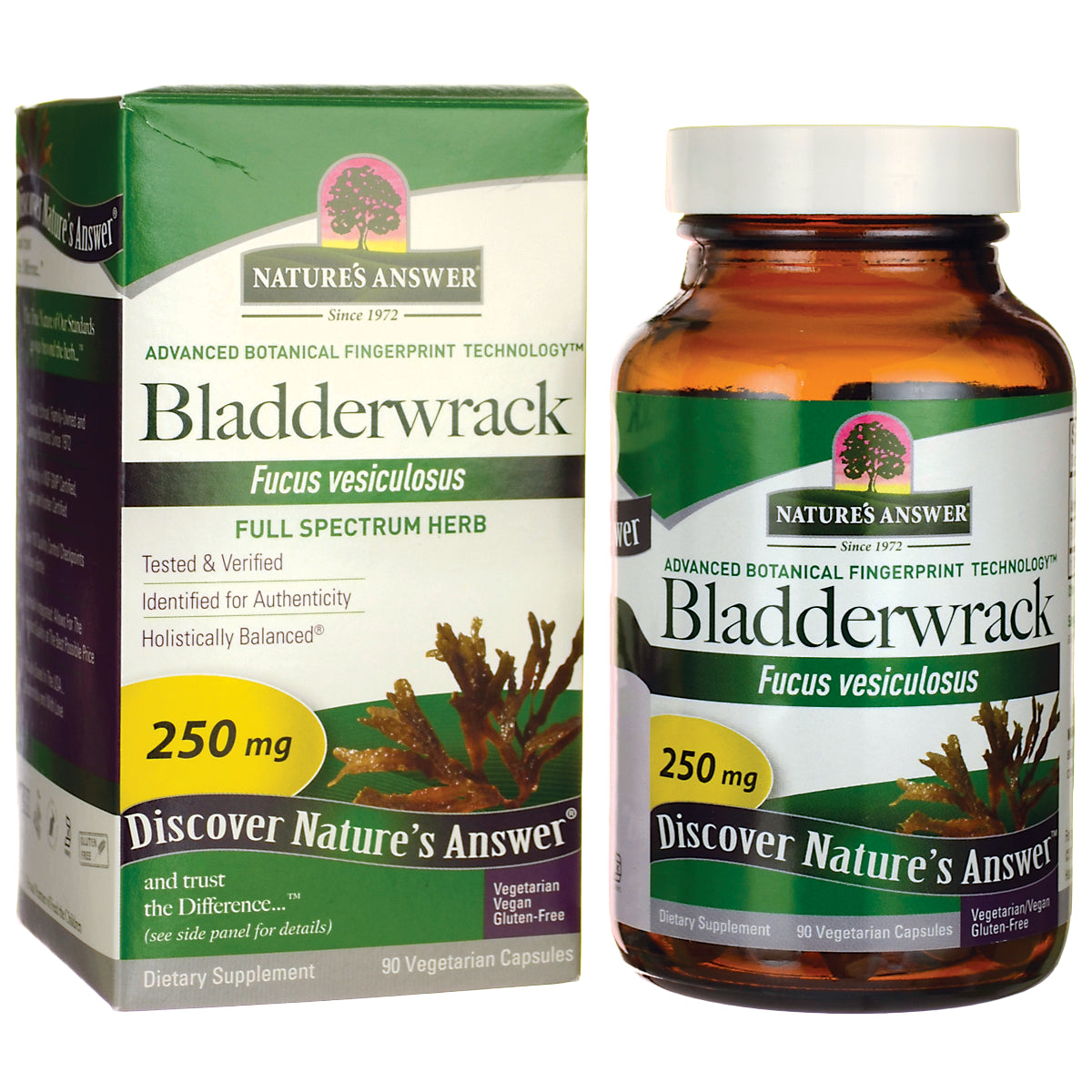 NAT137 | Bottle and box of Nature's Answer Bladderwrack 250 mg dietary supplement, 90 vegetarian capsules