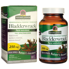 NAT137 | Bottle and box of Nature's Answer Bladderwrack 250 mg dietary supplement, 90 vegetarian capsules