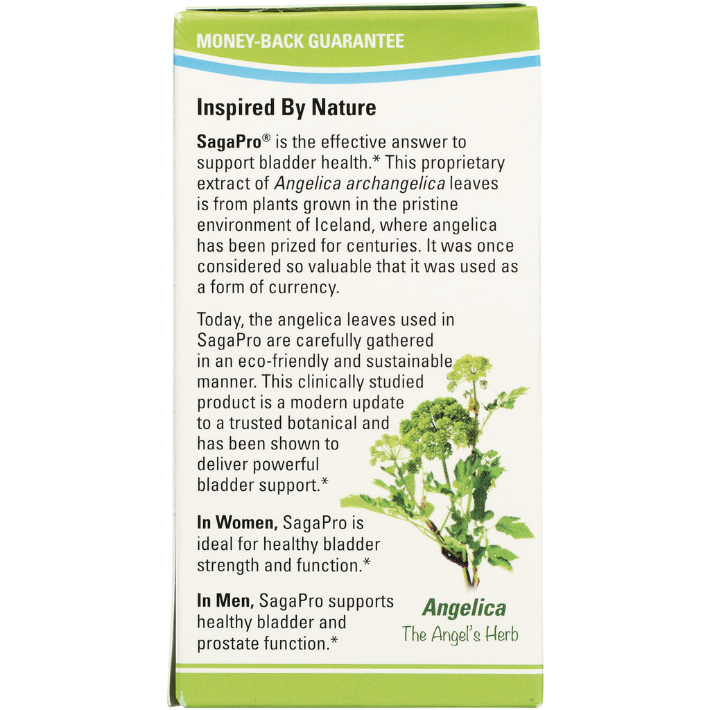 Back of SagaPro supplement box with product description, angelica plant illustration and money-back guarantee - Thumbnail