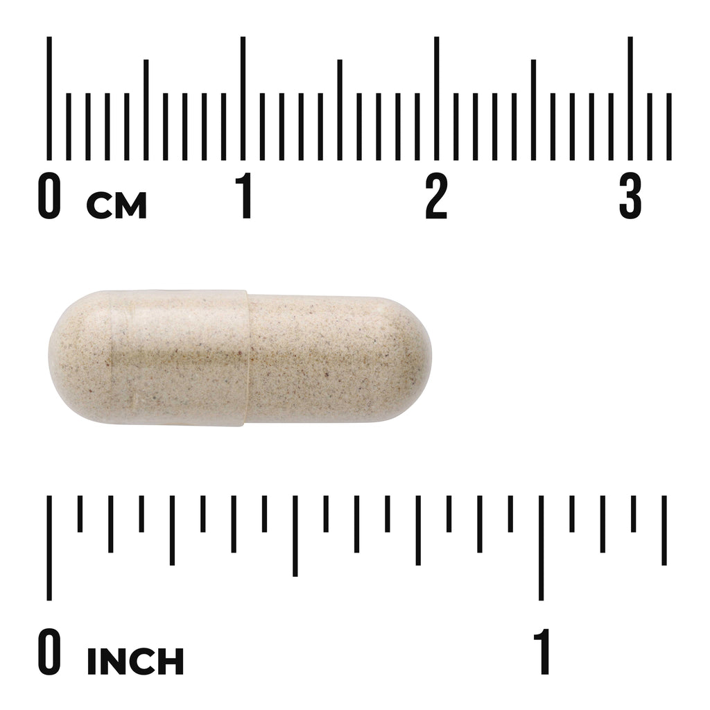 SW1396 | Beige capsule shown with centimeter and inch rulers for size - Thumbnail