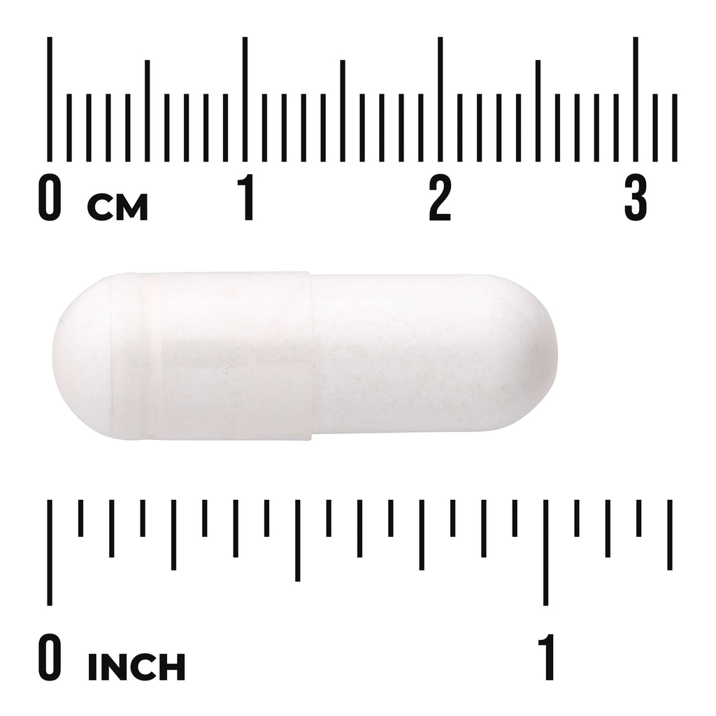 SWH190 | White two-piece capsule on metric and inch rulers showing "0 CM" and "0 INCH", about 2.6 cm long - Thumbnail