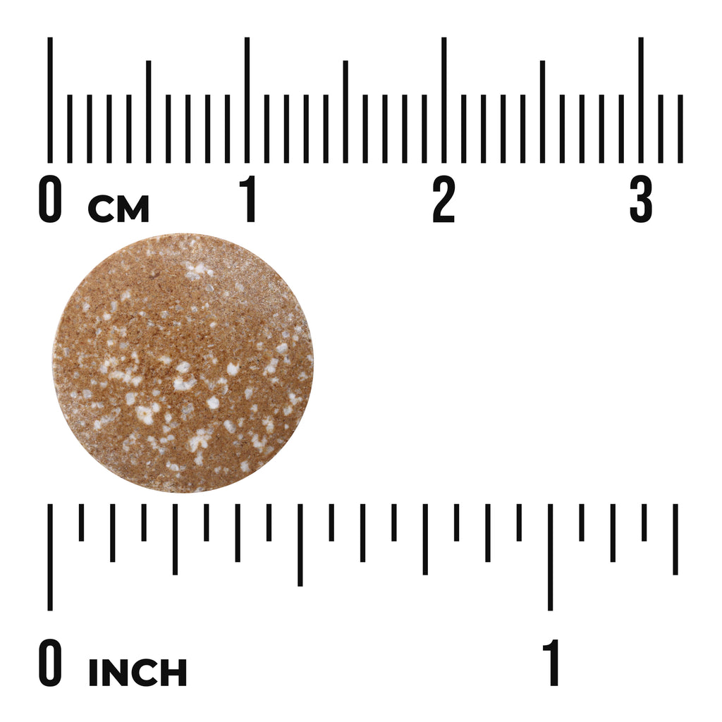 SWH154 | Round brown speckled tablet next to rulers showing centimeters and inches with visible "0 CM" and "0 INCH" - Thumbnail