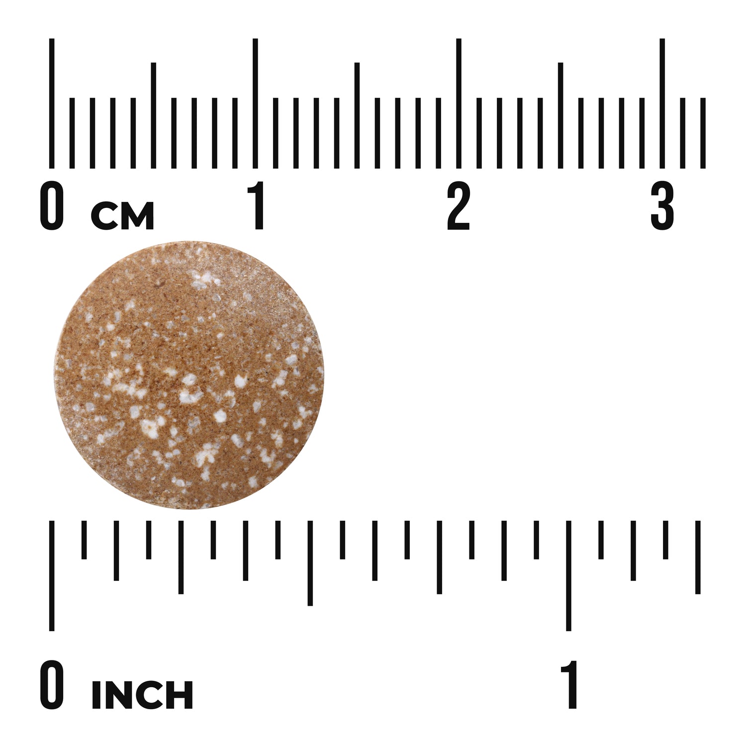 SWH154 | Round brown speckled tablet next to rulers showing centimeters and inches with visible "0 CM" and "0 INCH"