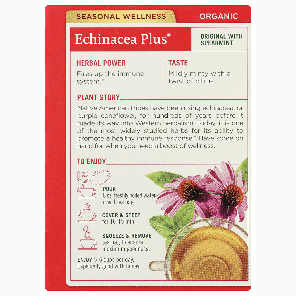 TMD005 | Echinacea Plus Organic tea back panel with herbal power, taste, plant story, and steeping directions - Thumbnail