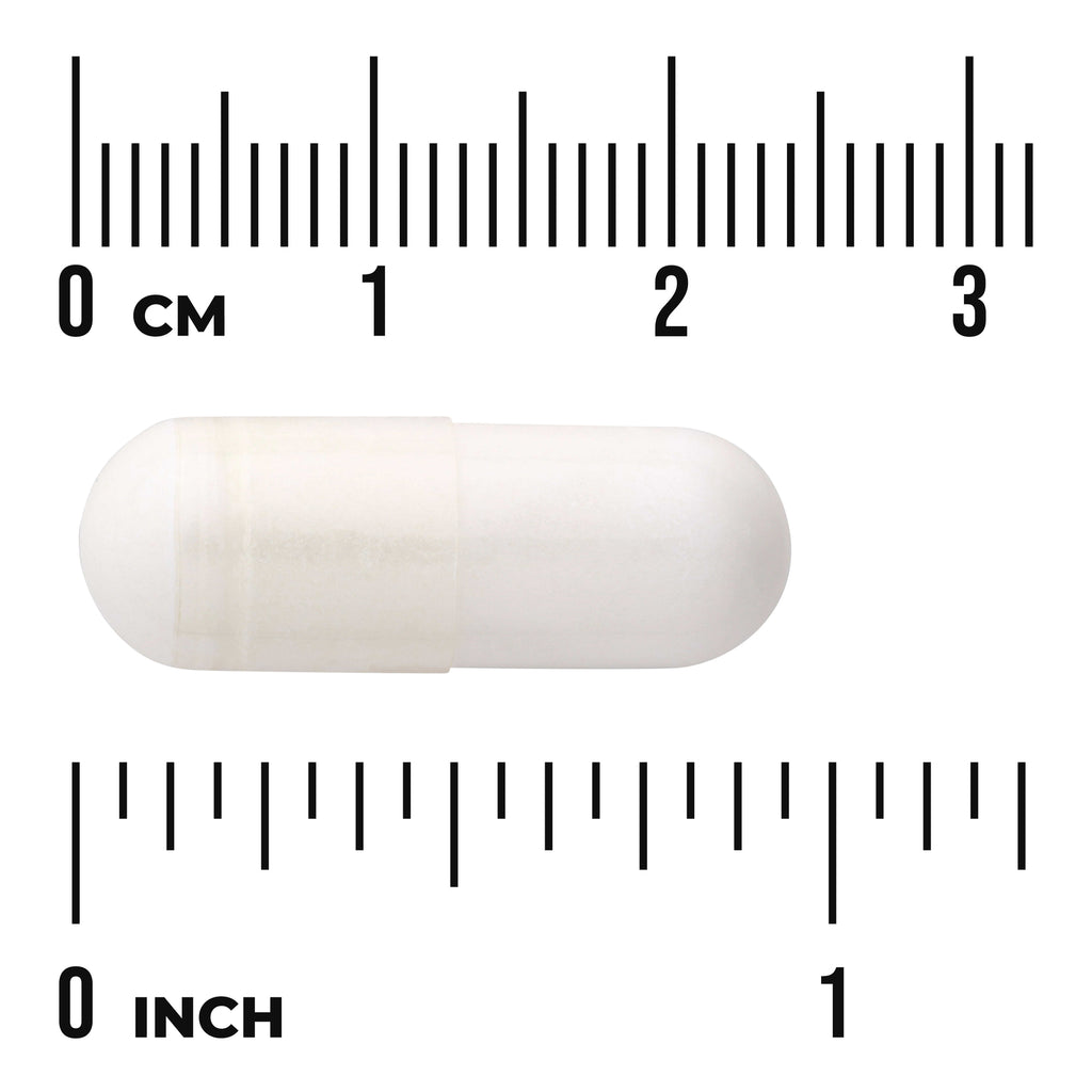 SWU663 | White capsule with metric and inch rulers for size reference - Thumbnail
