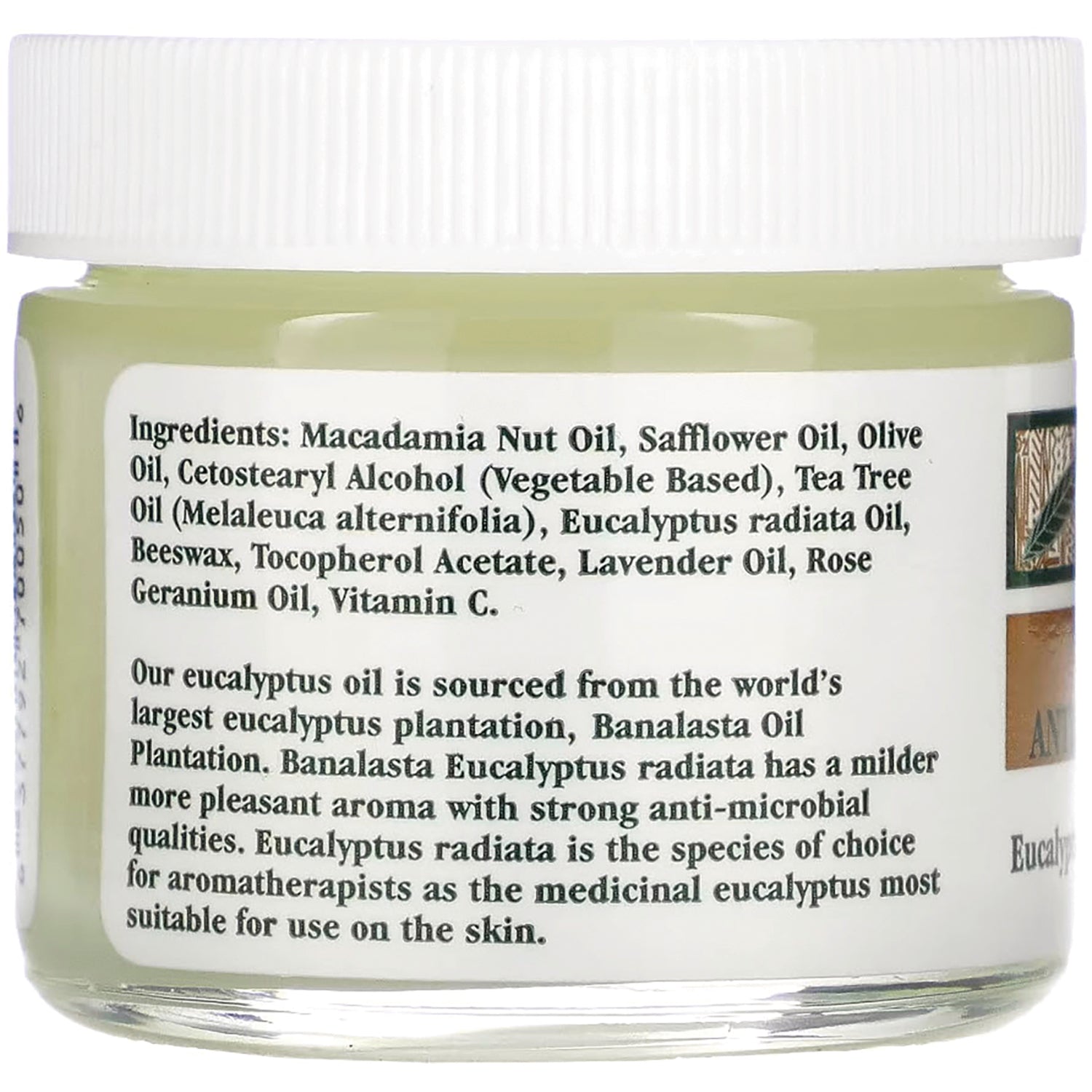 TTT010 | Back label with ingredients: Macadamia Nut Oil, Safflower Oil, Olive Oil, Tea Tree Oil, Eucalyptus radiata