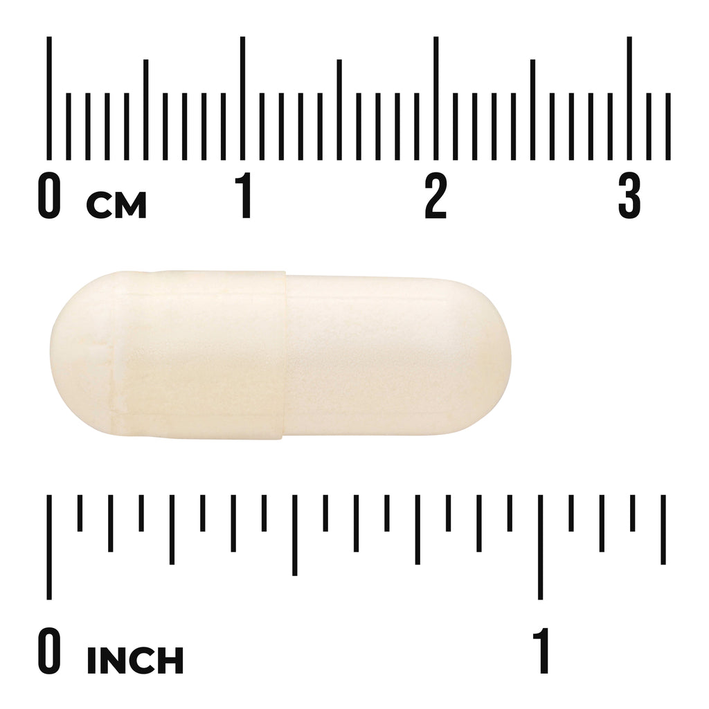 SWU194 | White capsule shown with centimeter and inch rulers, measuring about 2 cm long - Thumbnail