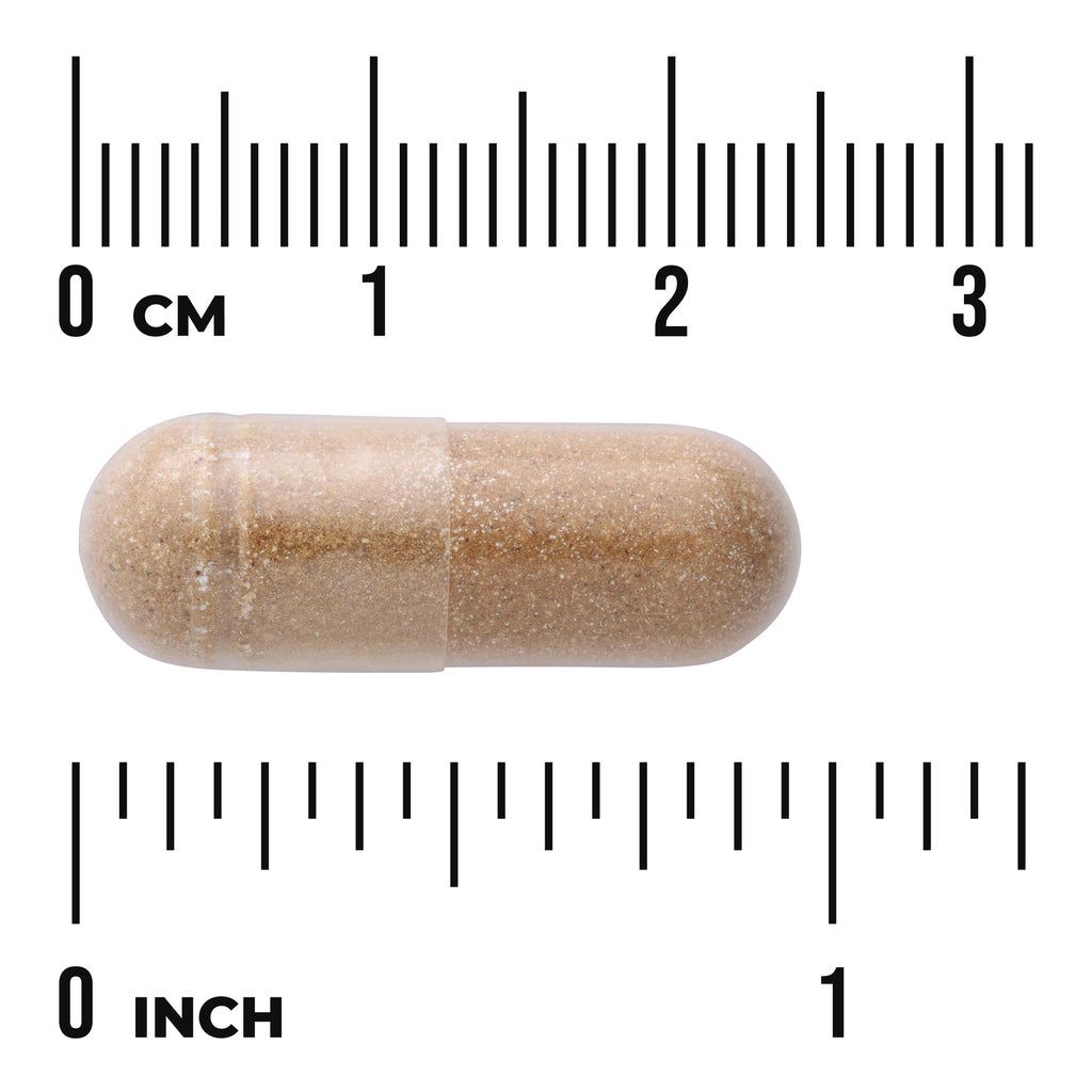 SWH122 | Brown granular supplement capsule beside centimeter and inch rulers showing approximate size - Thumbnail