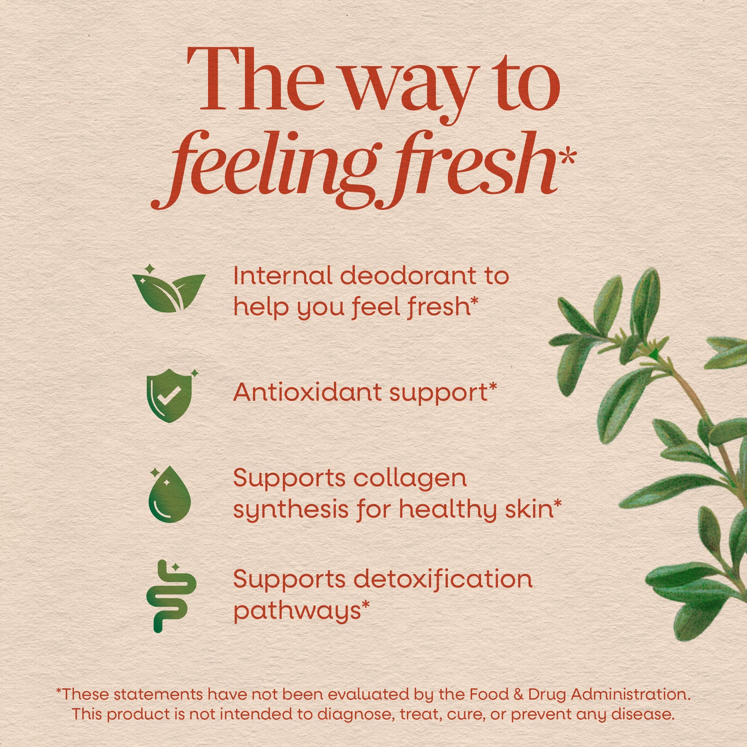 NW008 | Brand infographic about feeling fresh with internal deodorant, antioxidant support, and detoxification pathways