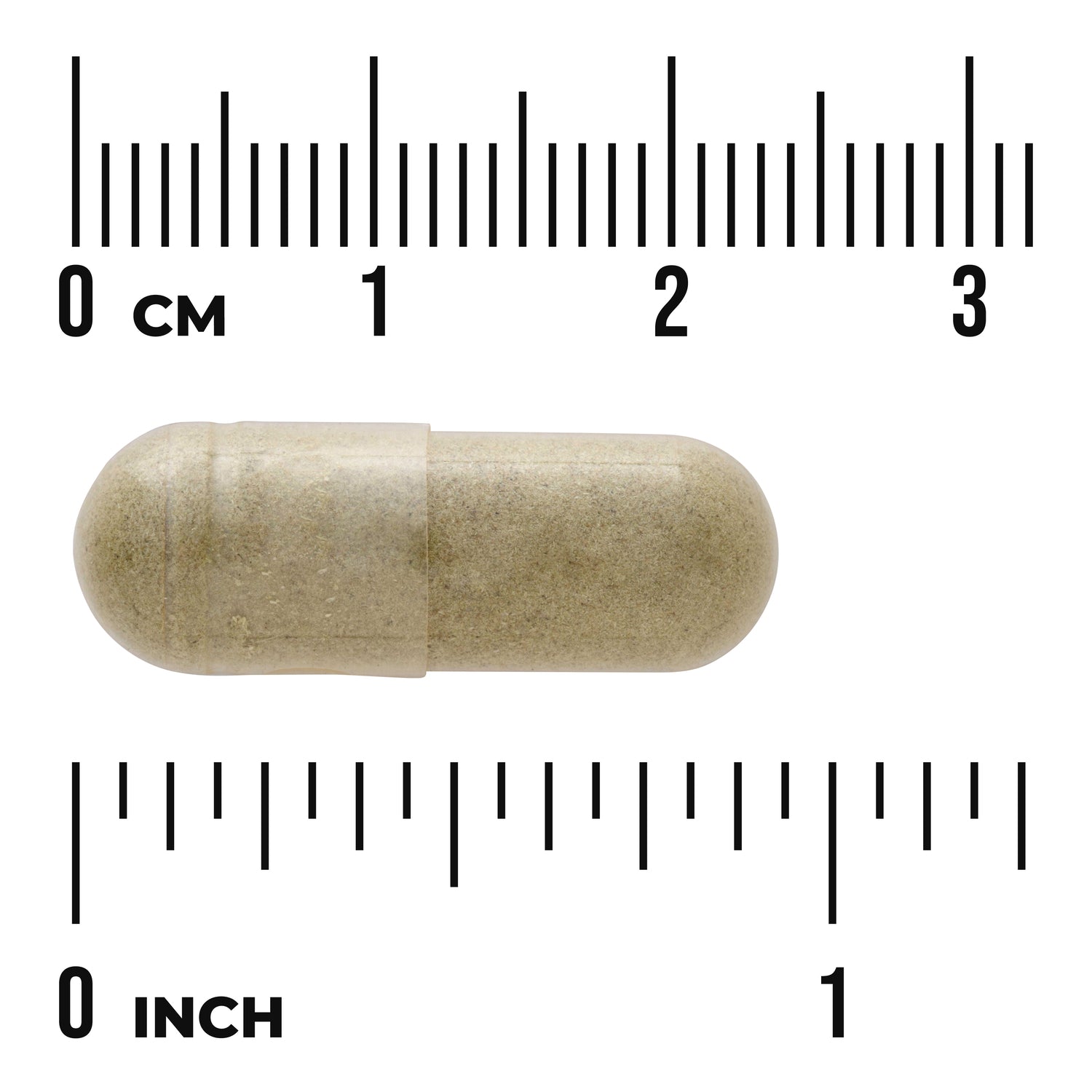 SW423 | Capsule shown with size scale in centimeters and inches