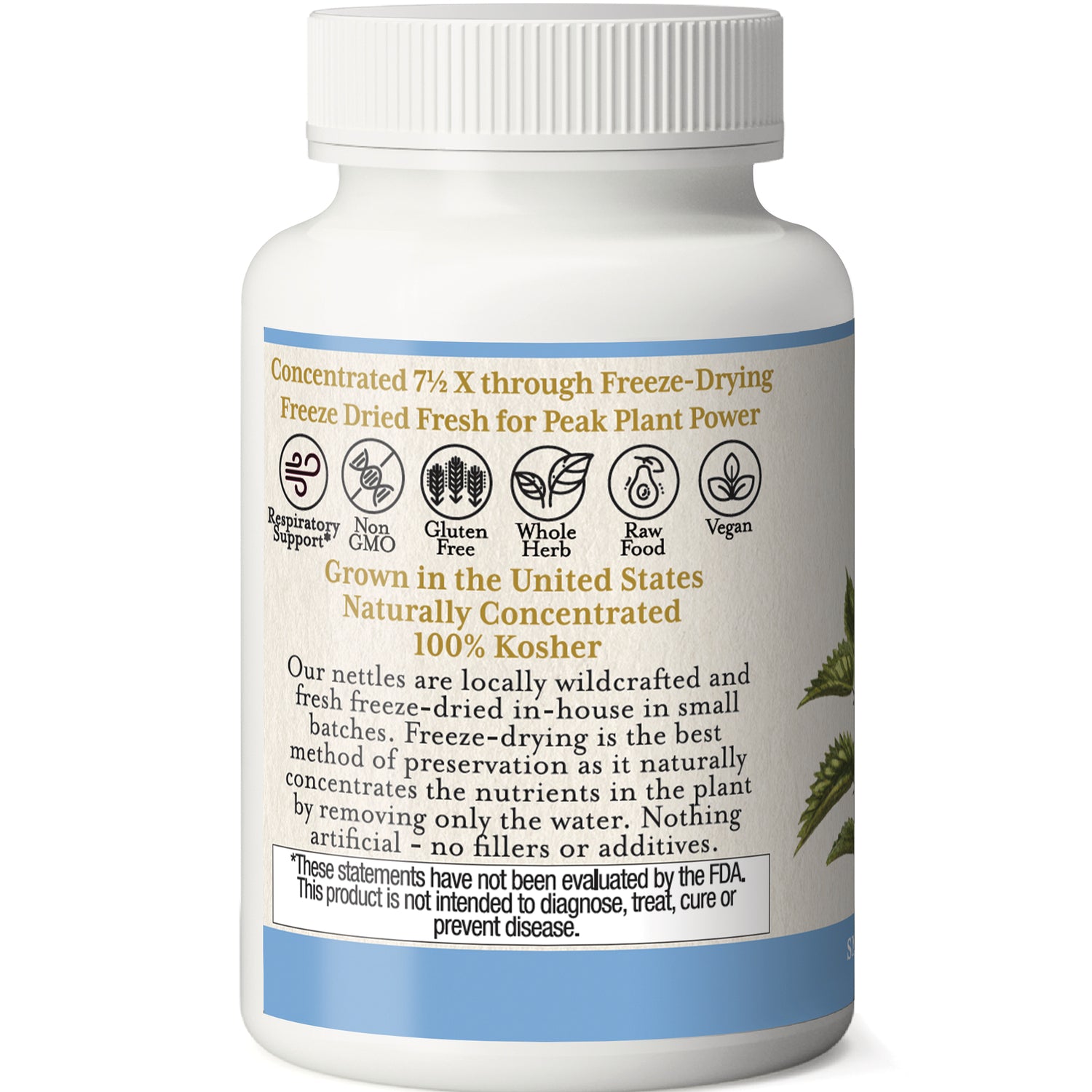 EC001 | Back label of white supplement bottle showing freeze-dried nettles, icons for Non GMO, gluten free, vegan, 100% Kosher and product description