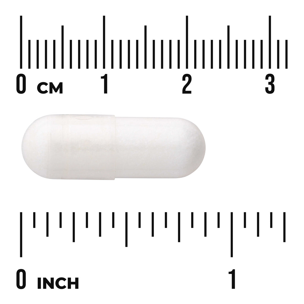 SW854 | White capsule with cm and inch rulers for size reference - Thumbnail