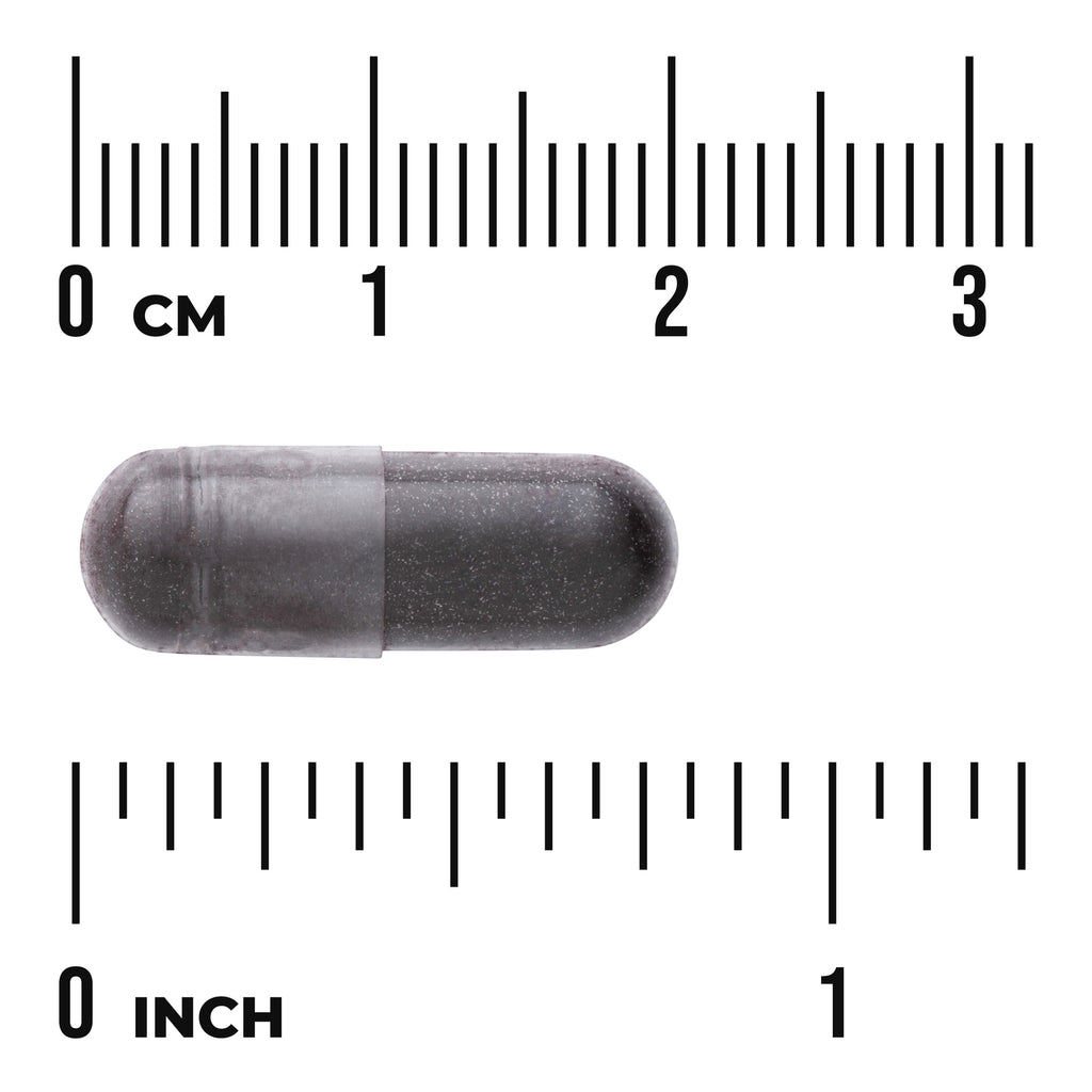 SWH115 | Dark gray speckled capsule shown between centimeter and inch rulers indicating size - Thumbnail