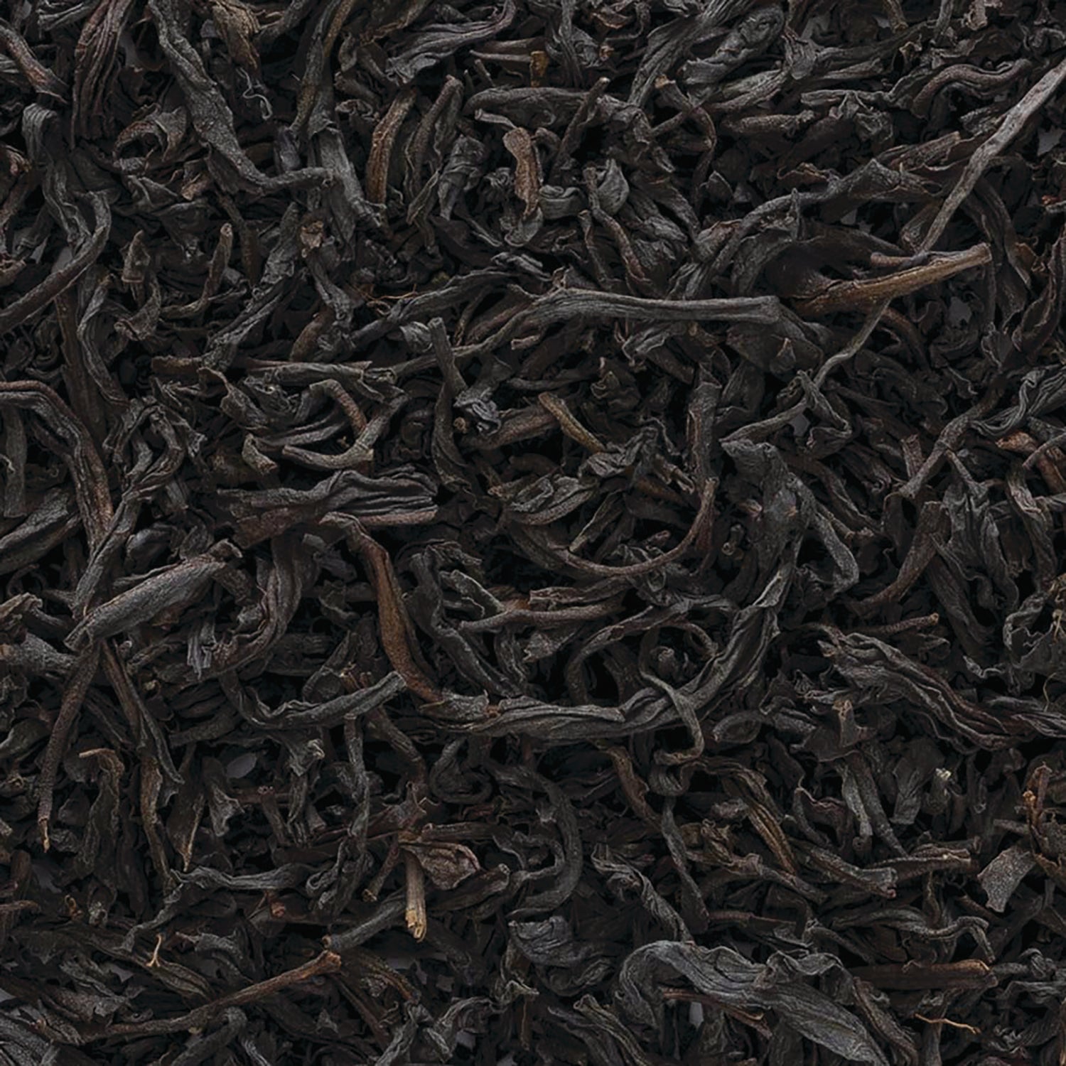 FNP085 | Close-up of loose dried black tea leaves with dark twisted leaves