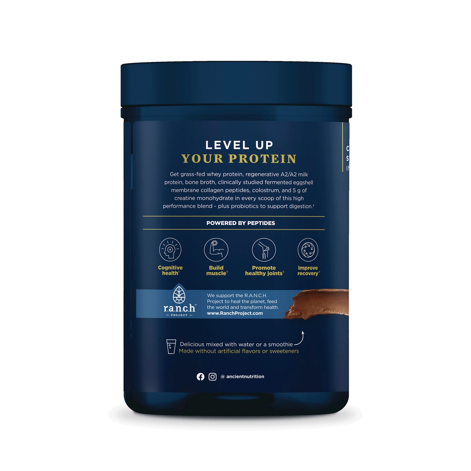 ATN152 | Ancient Nutrition protein supplement tub back label with benefits icons and mixing instructions