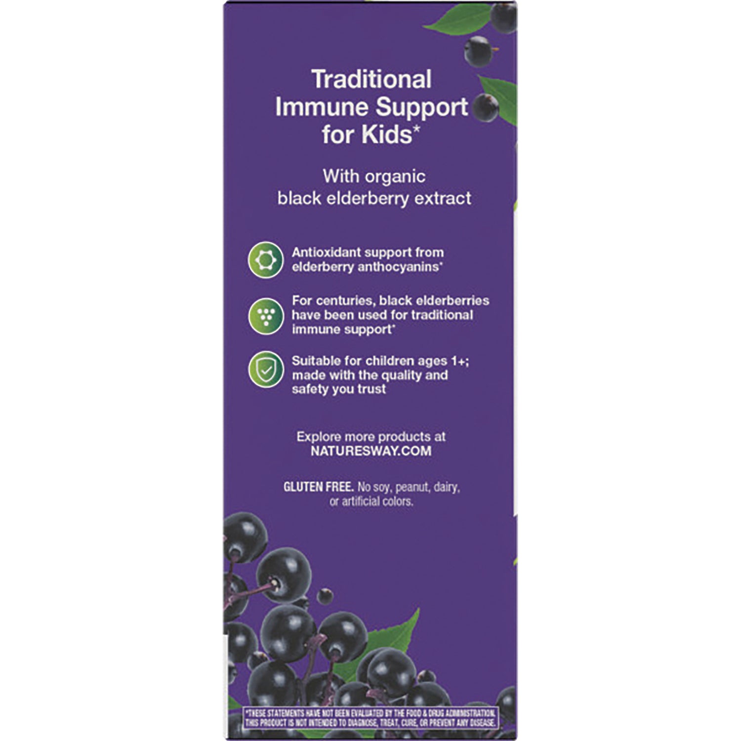 NW807 | Back panel listing traditional immune support for kids with organic black elderberry extract, icons, and gluten free statement