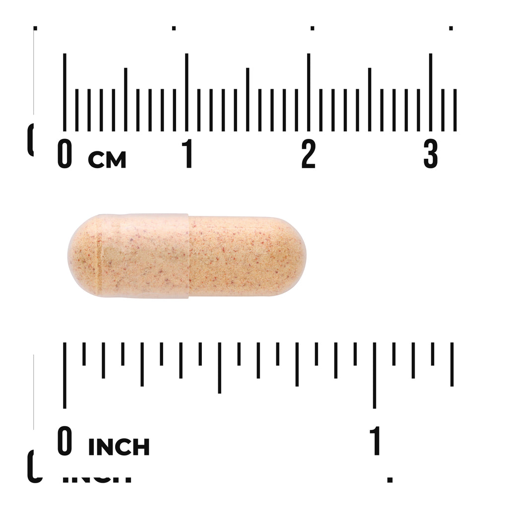 SWH298 | Beige capsule shown with ruler markings in centimeters and inches - Thumbnail