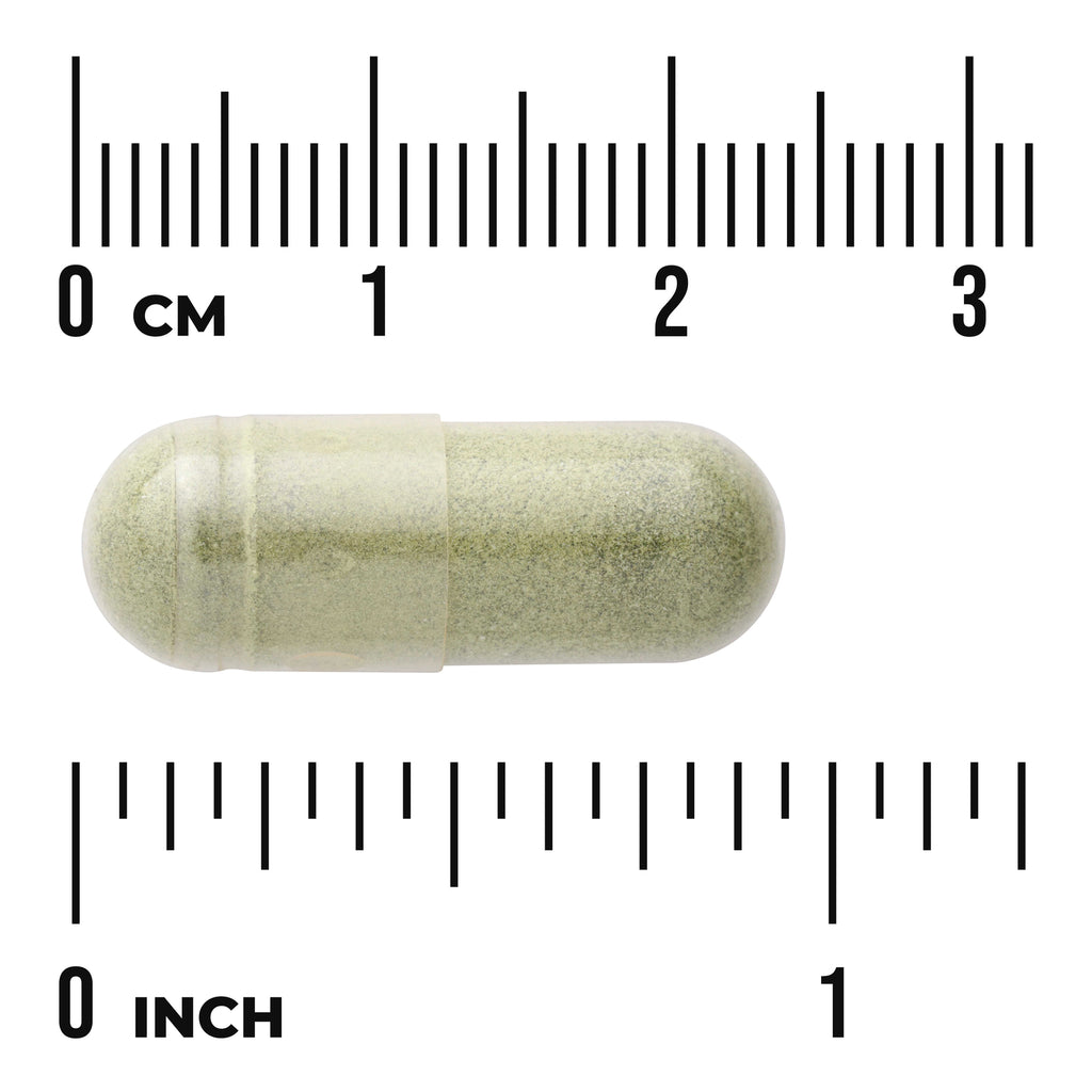 SW1086 | Herbal capsule shown with centimeter and inch rulers for size reference - Thumbnail