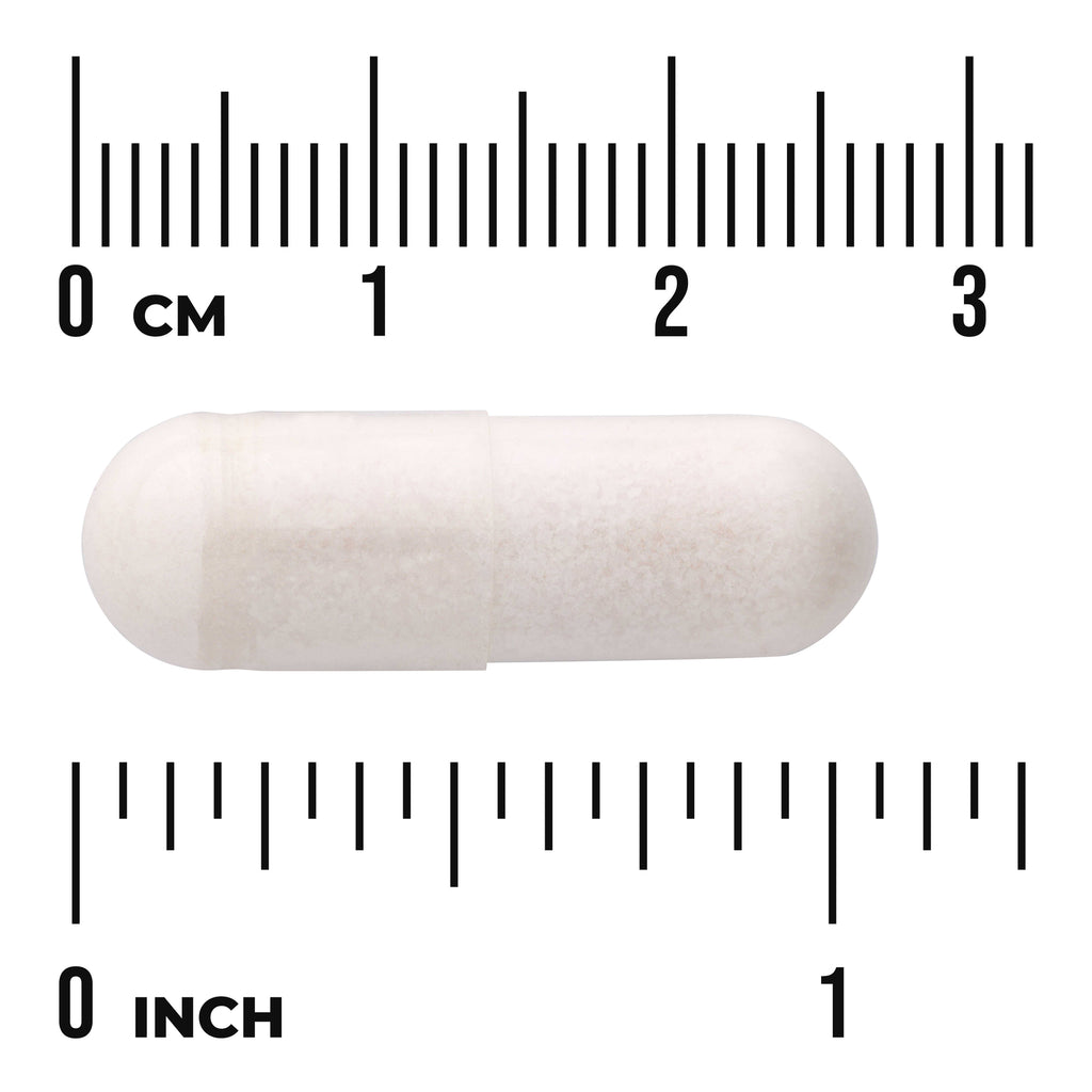 SW1054 | White capsule shown next to size ruler in cm and inches - Thumbnail