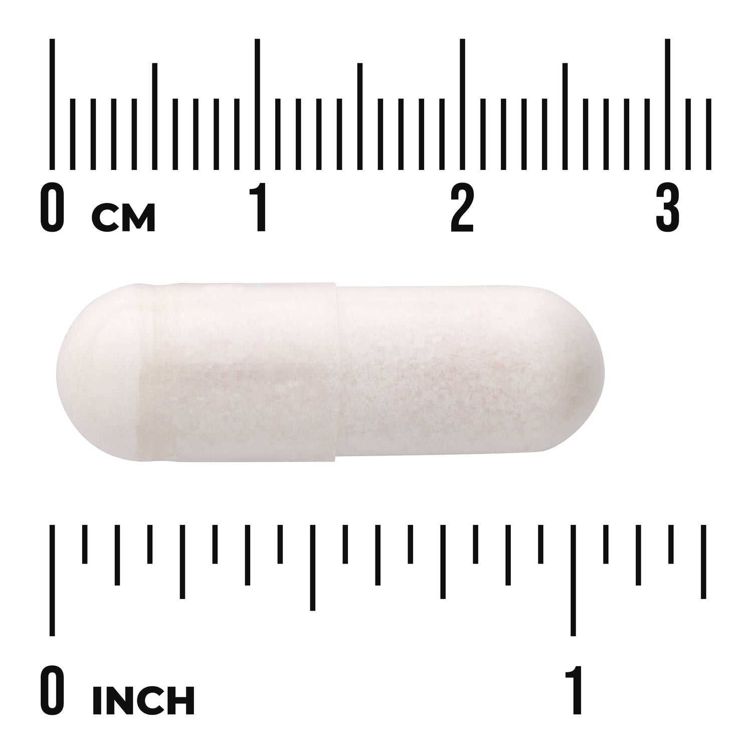 SW1054 | White capsule shown next to size ruler in cm and inches
